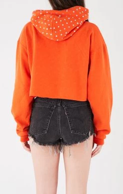 FURST OF A KIND SALE VINTAGE RHINESTONE CROPPED HOODIE