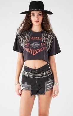 FURST OF A KIND VINTAGE PINS VINTAGE PIN AND CHAIN CROPPED TEE