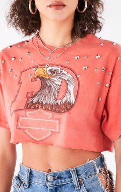 FURST OF A KIND VINTAGE MULTI STUD CROPPED TEE FESTIVAL 9 FURST OF A KIND VINTAGE MULTI STUD CROPPED TEE FESTIVAL