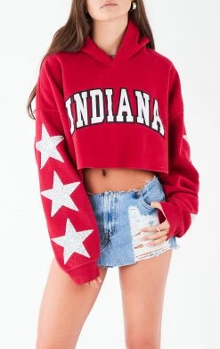 FURST OF A KIND VINTAGE STAR PATCH CROPPED HOODIE VINTAGE COLLEGE