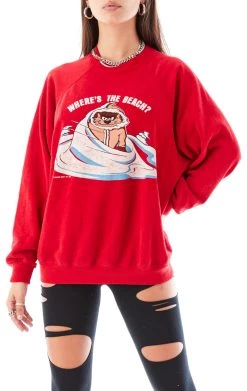 FURST OF A KIND VINTAGE CARTOON VINTAGE STONEWASHED CARTOON SWEATSHIRT